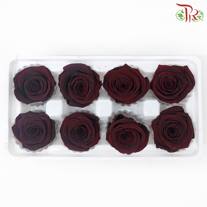 8 Bloom Rose - Dark Red-Dark Red-China-prflorist.com.my