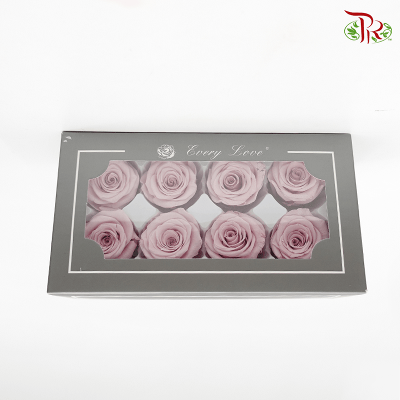 8 Bloom Rose - Extra Light Pink-Pink-China-prflorist.com.my