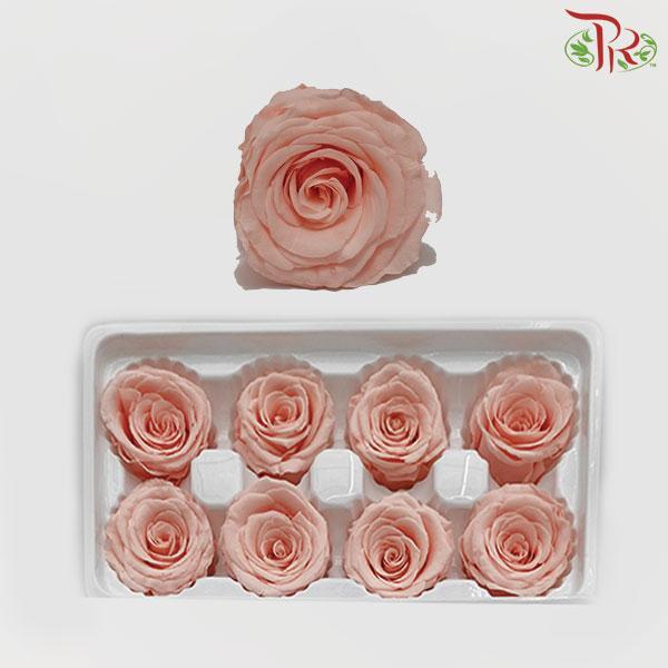 8 Bloom Rose - Peach-Peach-China-prflorist.com.my