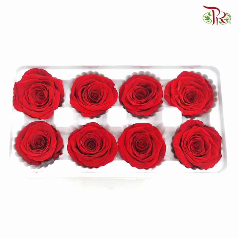 8 Bloom Rose - Red-Red-China-prflorist.com.my