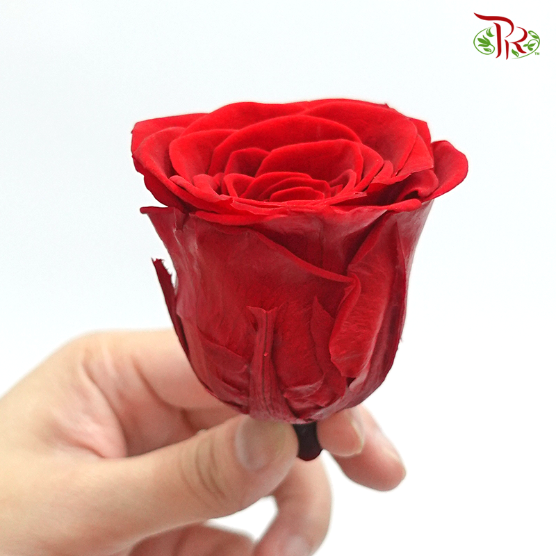 8 Bloom Rose - Red-Red-China-prflorist.com.my