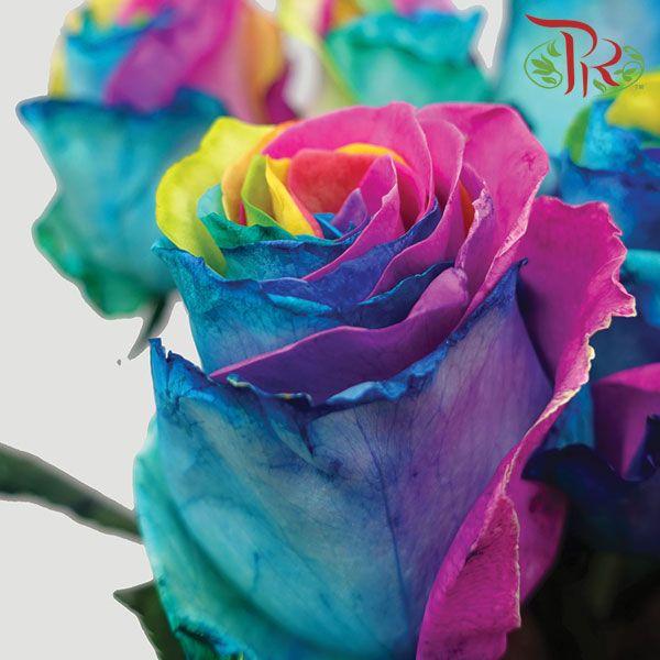 Ceres Rose - Rainbow Tinted (10 Stems) - Pudu Ria Florist