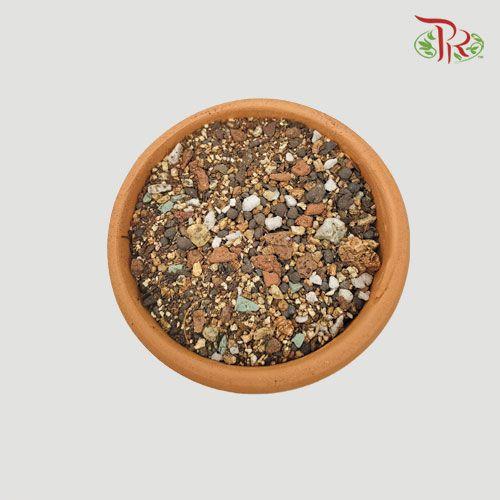 Succulent Potting Mix- 2L 多肉种植介质 - Pudu Ria Florist