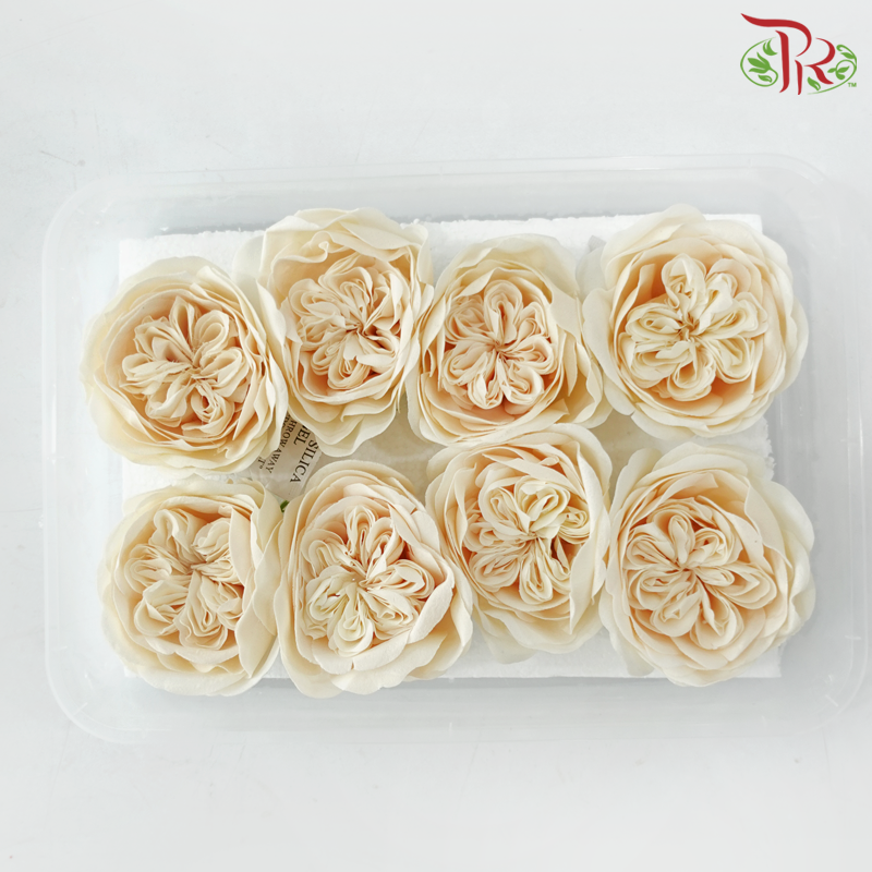 Austen Rose Soap Flower