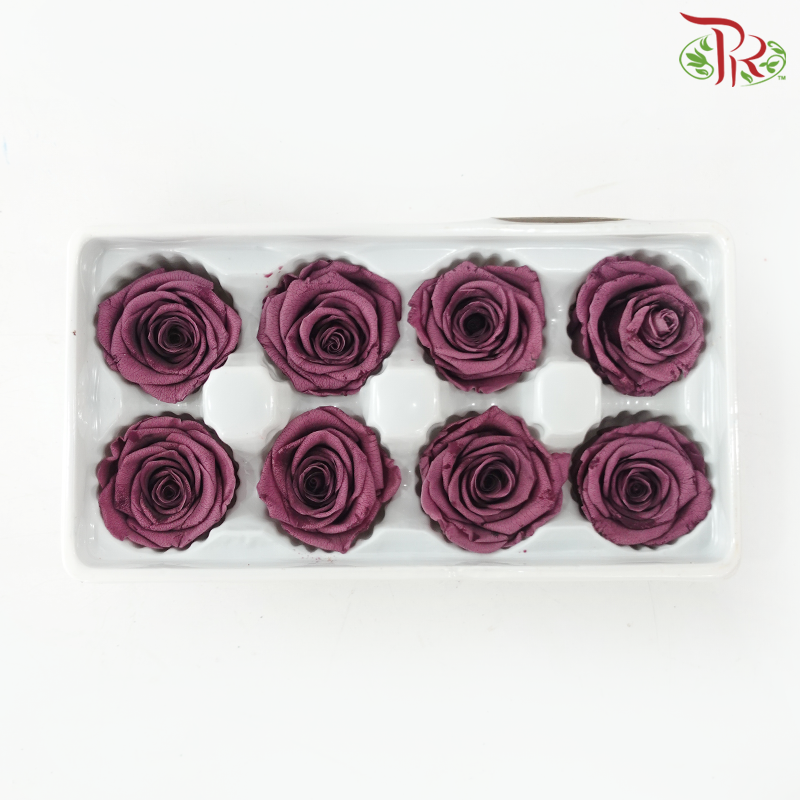 8 Blooms Preserved Rose
