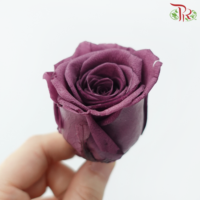 8 Blooms Preserved Rose