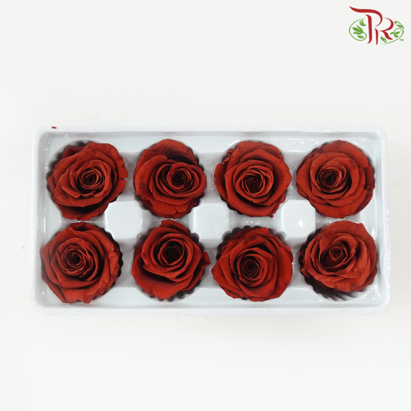 8 Blooms Preserved Rose