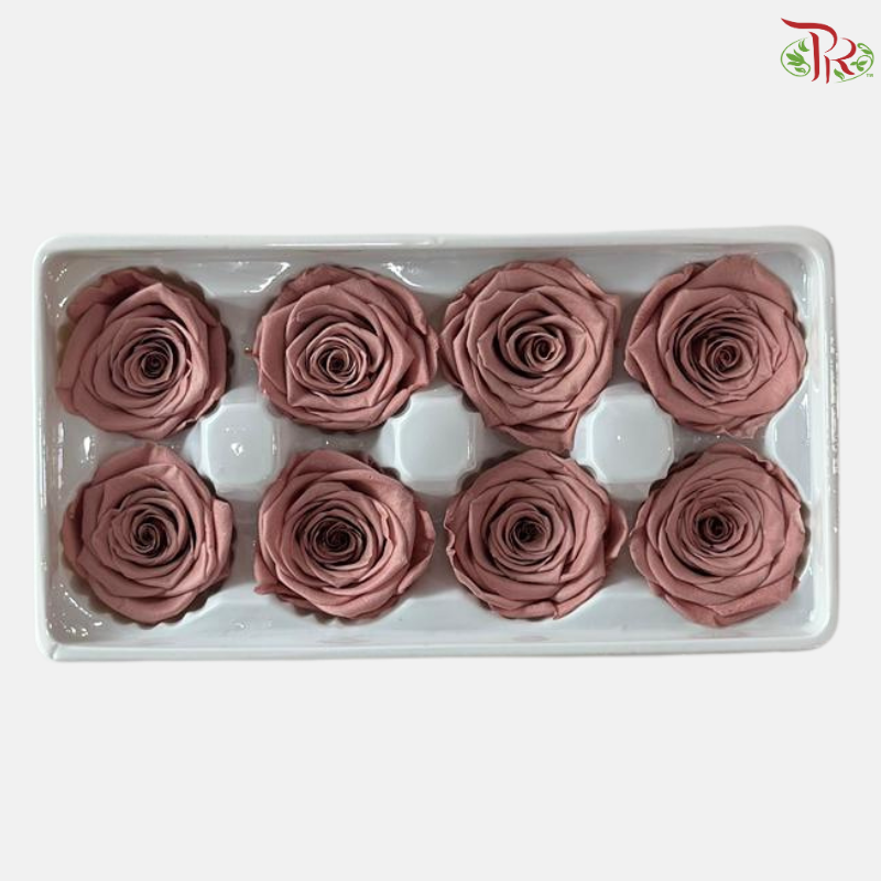 8 Blooms Preserved Rose