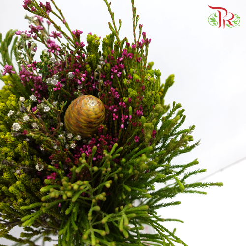 Safari Mix (Cone/Cape) - 1 (Per Bunch) - Pudu Ria Florist