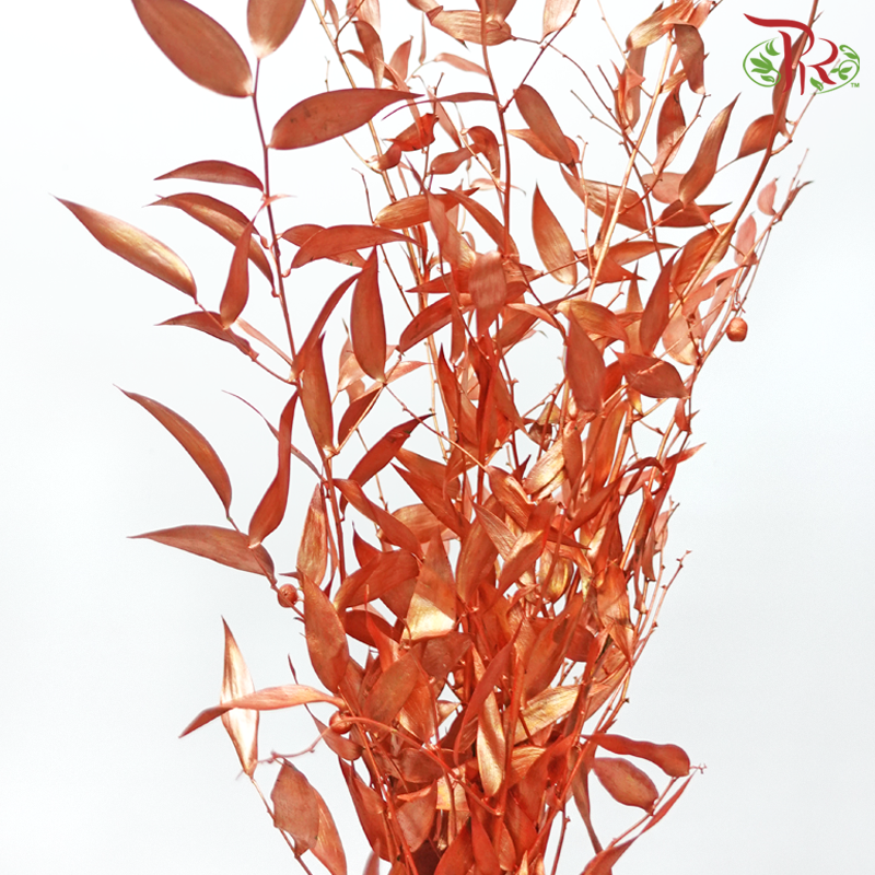 Italy Ruscus Dyed Metal Preservatives - Bronze (Per Bunch) - Pudu Ria Florist