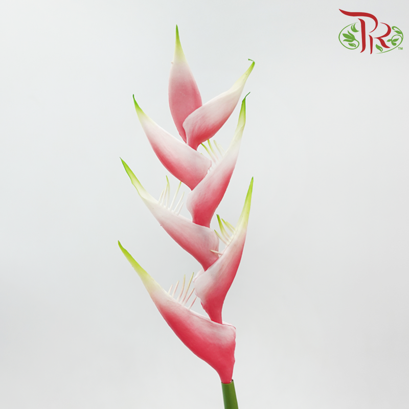 Artificial Heliconia Spray - 2 Stems