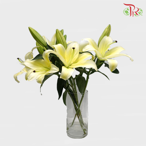 Lily 4+ - Yellow (5 Stems) - Pudu Ria Florist