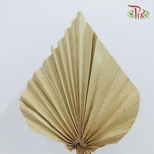 Dry Spear Palm (L) - (5 Stems) - Pudu Ria Florist