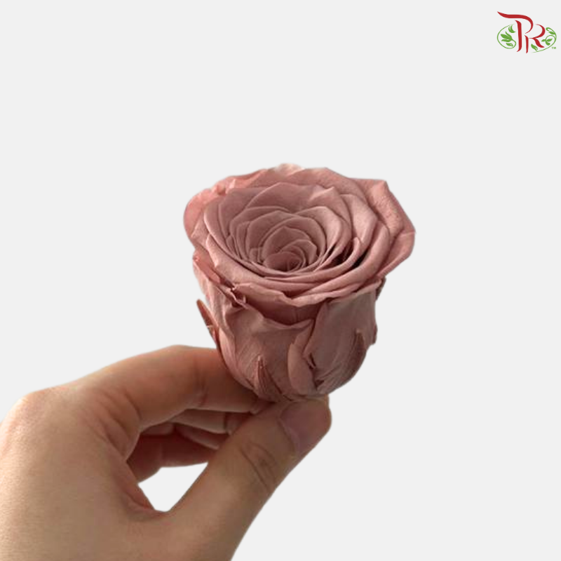 8 Blooms Preserved Rose