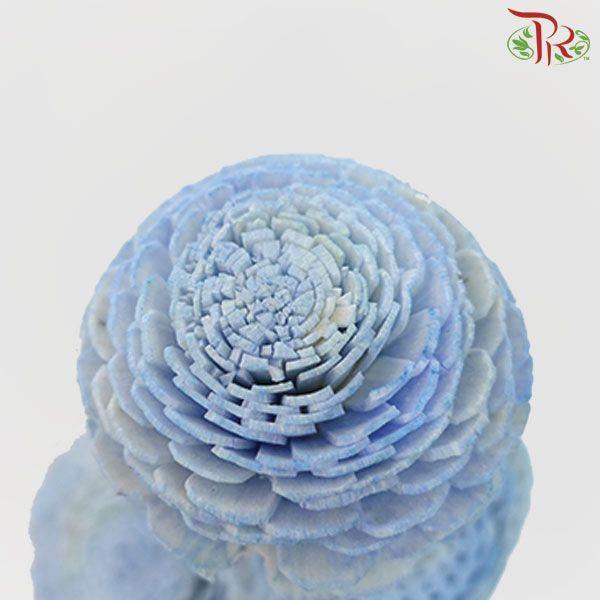 Dry Aeschynomene Small - Blue (5 Stems) - Pudu Ria Florist