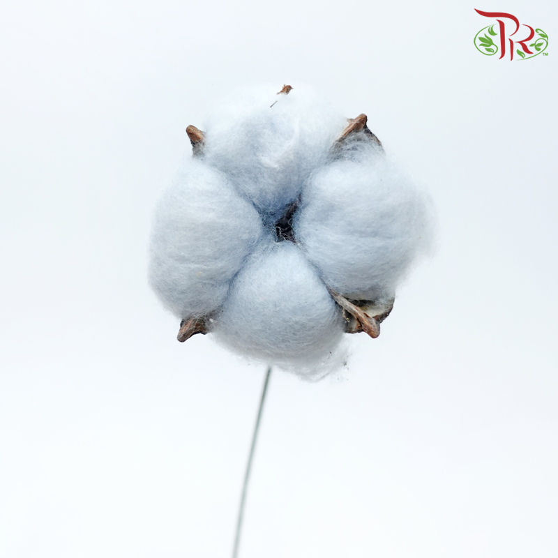 Artificial Cotton Flower