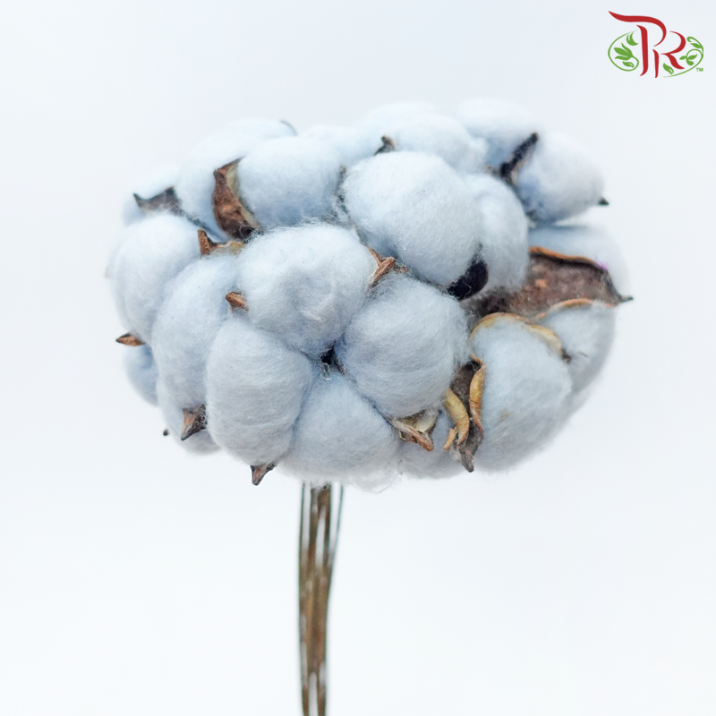 Artificial Cotton Flower