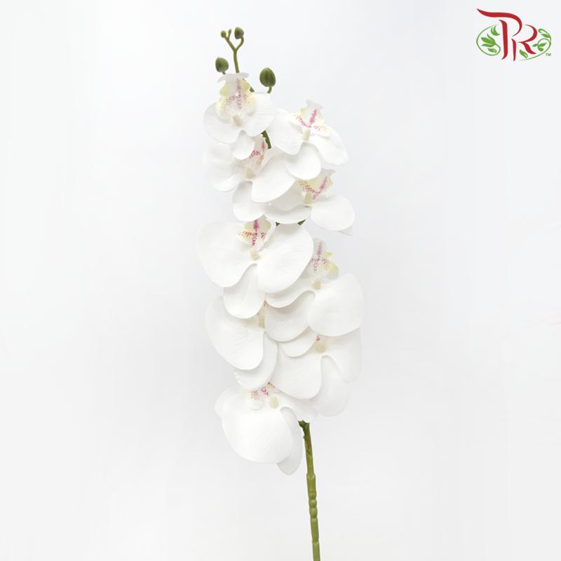 CNY Artificial Phalaenopsis