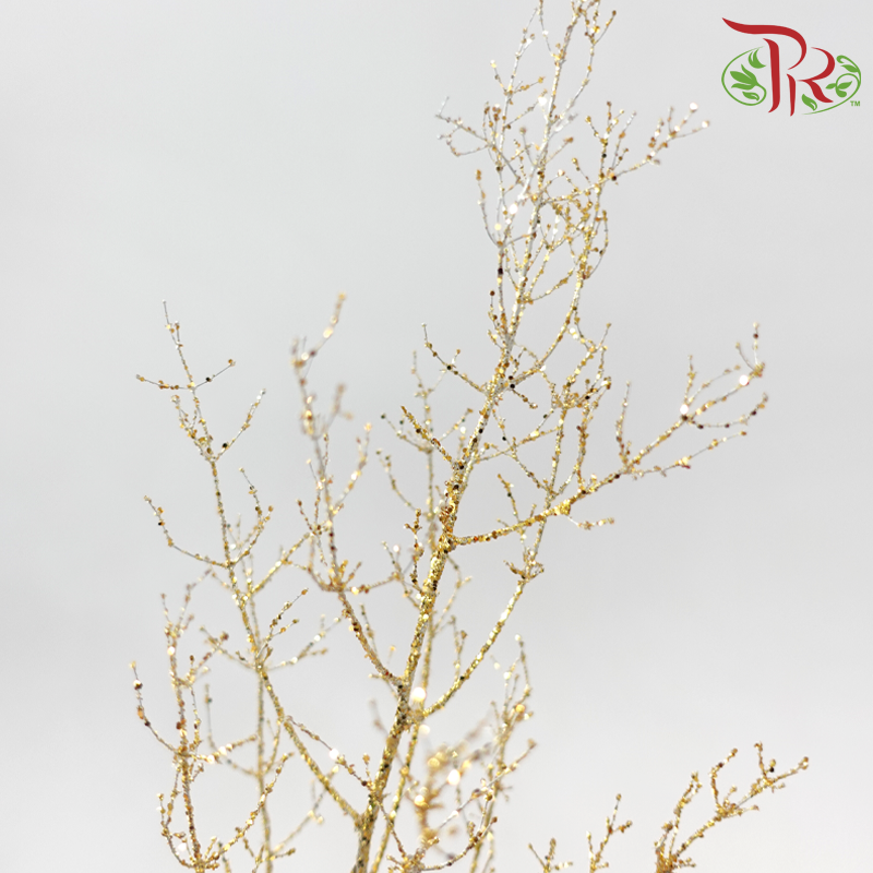 Asparagus Myriocladus with Glitter