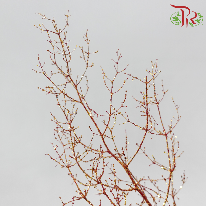 Asparagus Myriocladus with Glitter