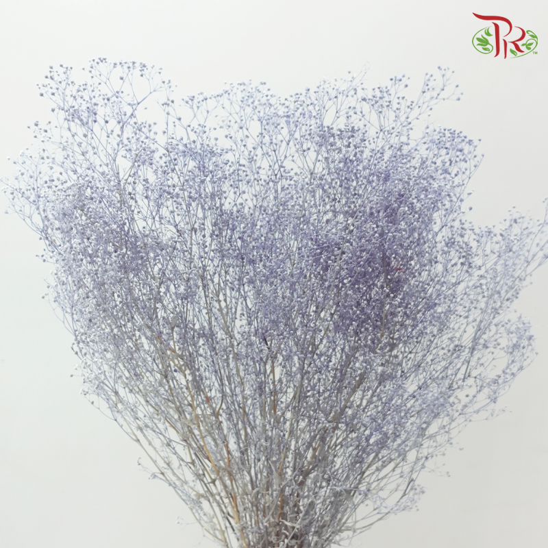 Preserved Baby's Breath Mini