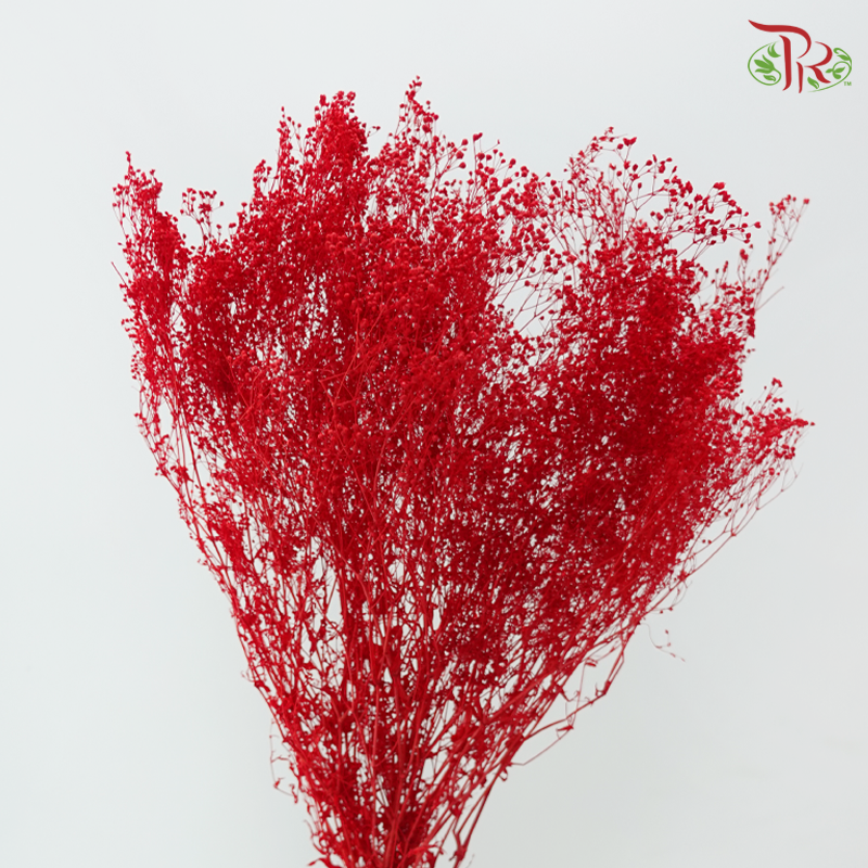 Preserved Baby's Breath Mini