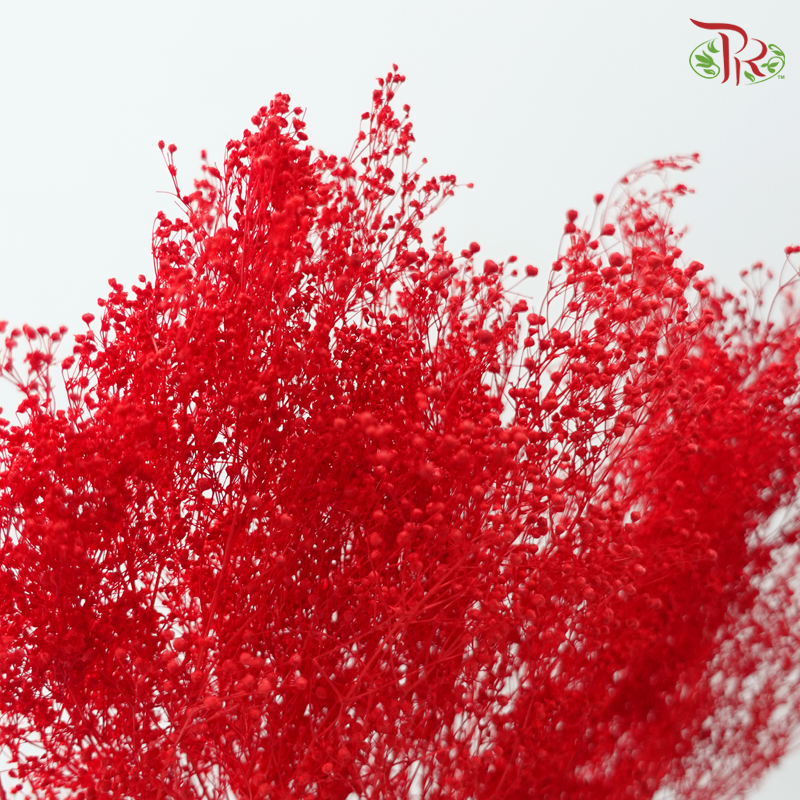 Preserved Baby's Breath Mini