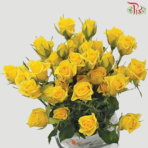 Rose Spray - Yellow (5 Stems) - Pudu Ria Florist