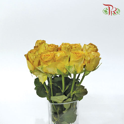 Rose - Hearts Of Gold (10 Stems) - Pudu Ria Florist