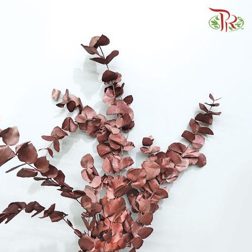 Eucalyptus Dyed Metal Preservatives - Bronze - Pudu Ria Florist