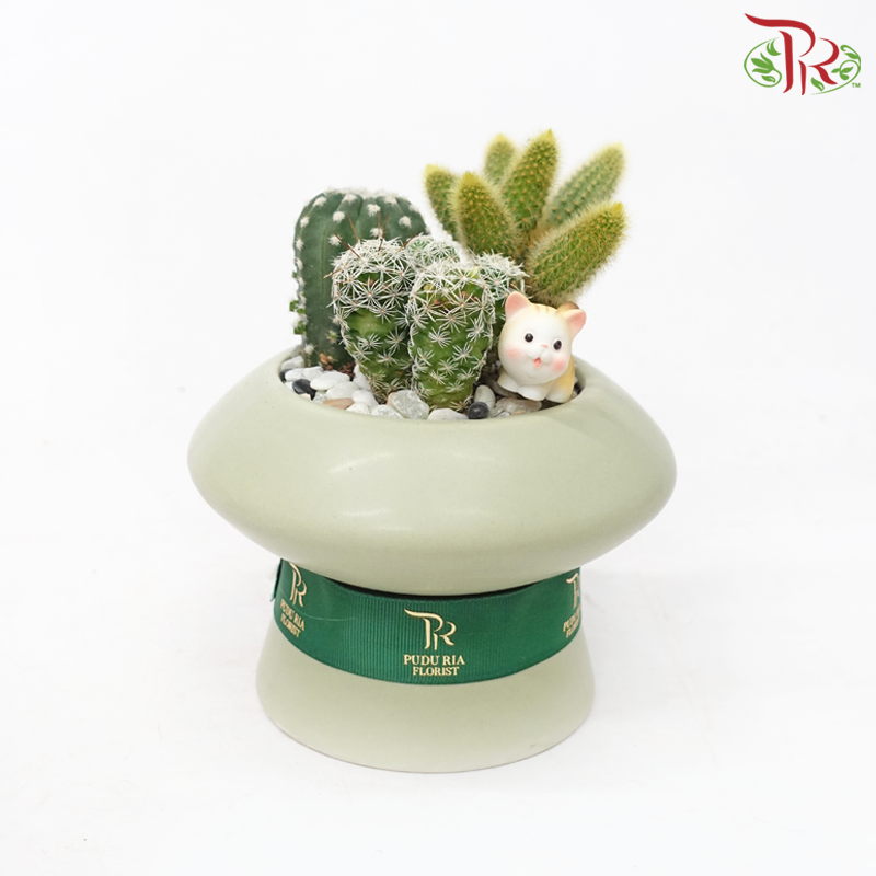 Cactus Arrangement (Random Choose Cactus & Deco)