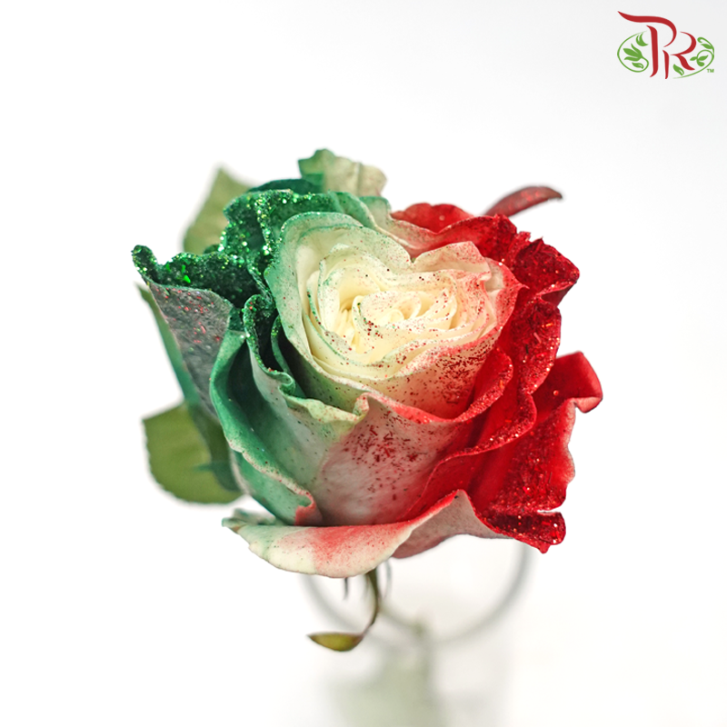 Ceres Rose - Dyed Xmas (Randomly Select) - Pudu Ria Florist