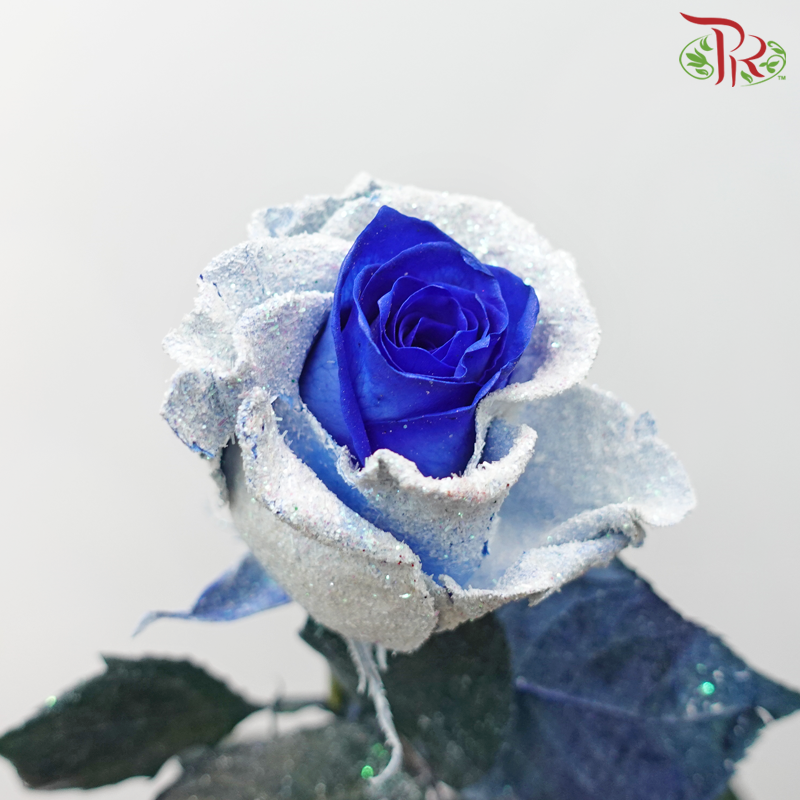 Ceres Rose - Dyed Xmas (Randomly Select) - Pudu Ria Florist