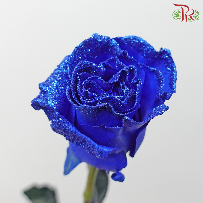 Ceres Rose - Dyed Xmas (Randomly Select) - Pudu Ria Florist