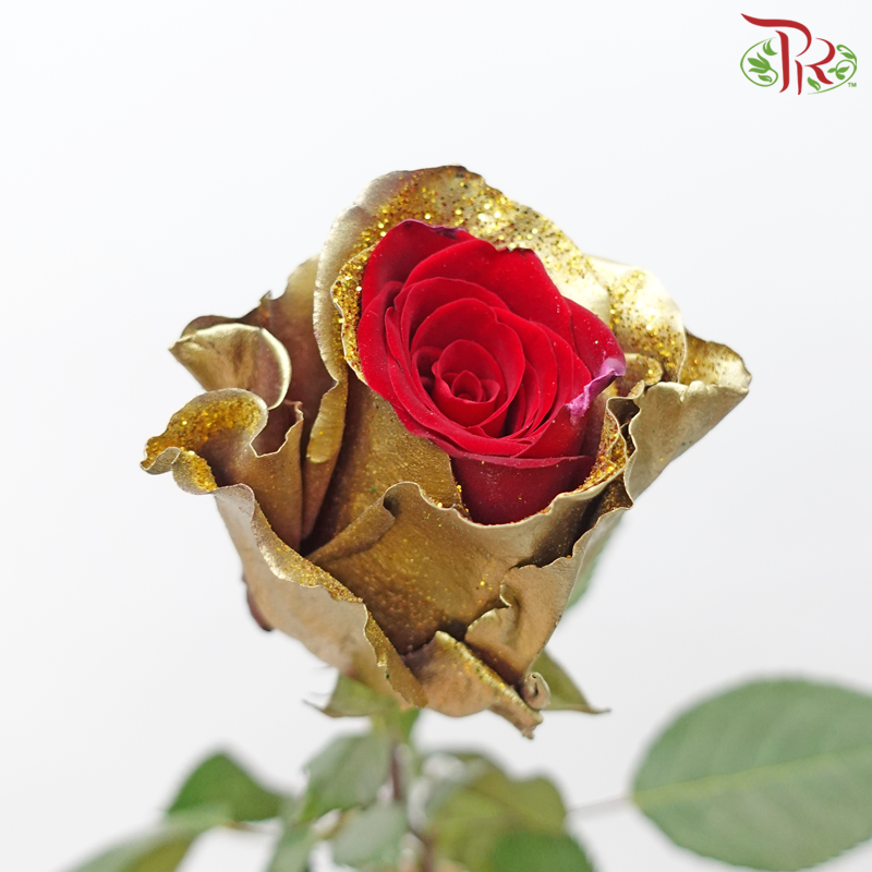 Ceres Rose - Dyed Xmas (Randomly Select) - Pudu Ria Florist