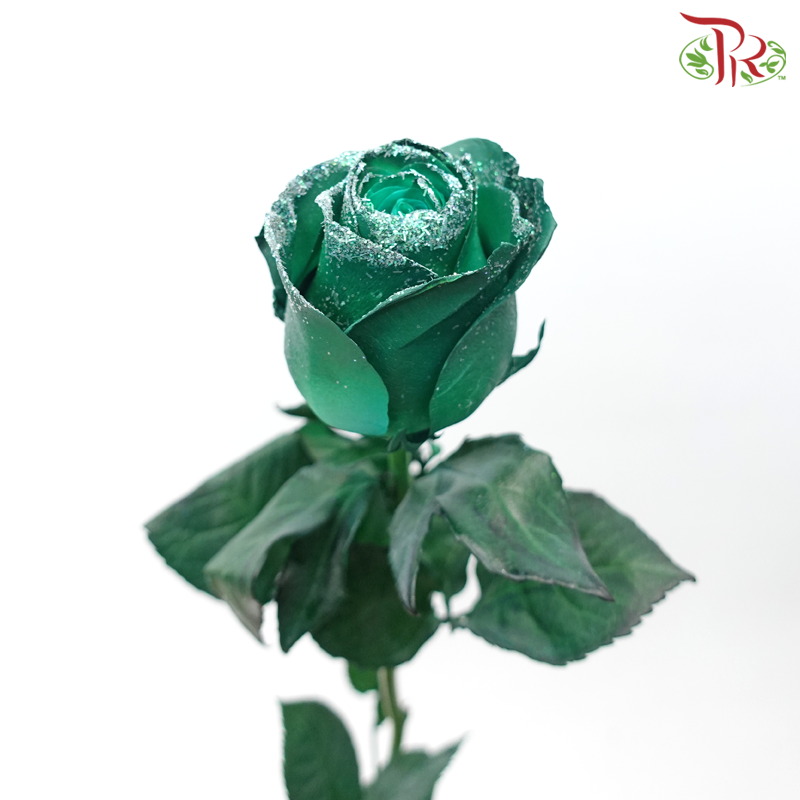 Ceres Rose - Dyed Xmas (Randomly Select) - Pudu Ria Florist