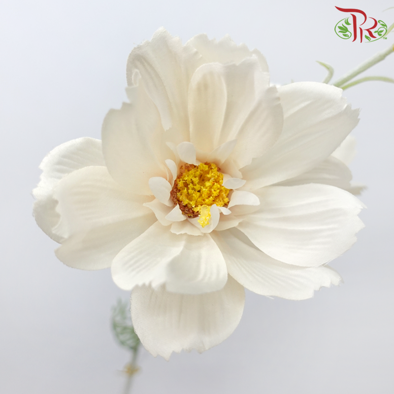 76cm - Artificial Cosmos Spray - Light Champagne (2 Stems) - Pudu Ria Florist