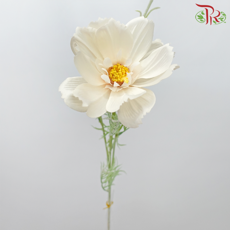 76cm - Artificial Cosmos Spray - Light Champagne (2 Stems) - Pudu Ria Florist