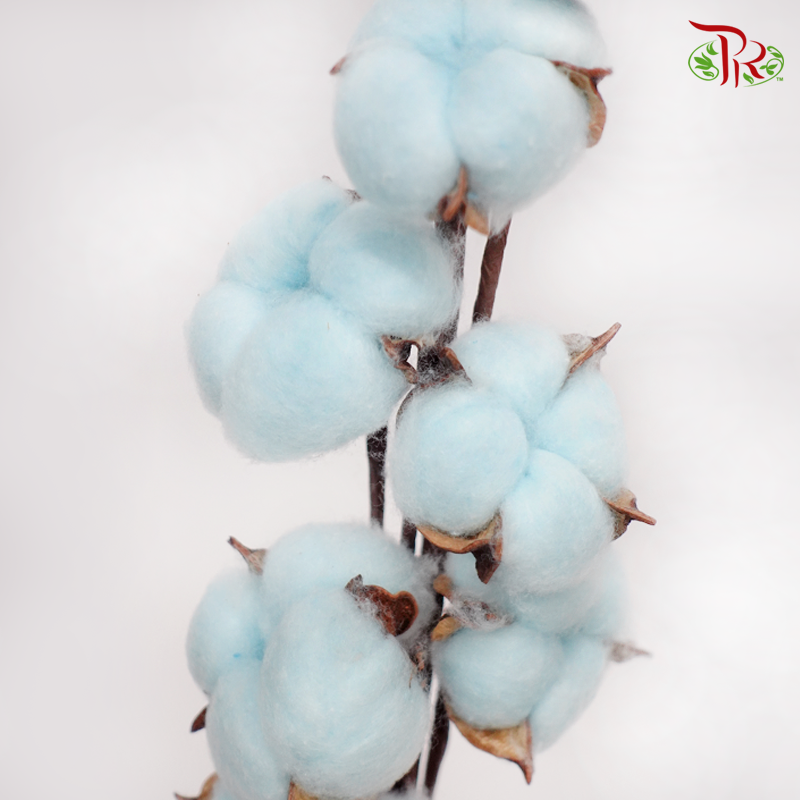 Artificial Cotton Flower - Sky Blue (Per Stem) - Pudu Ria Florist
