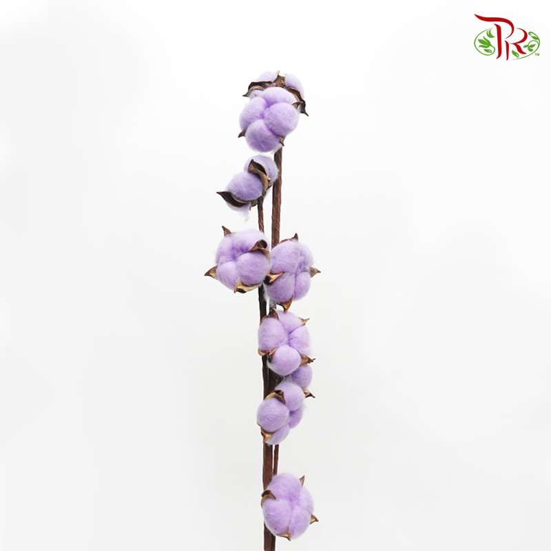 Artificial Cotton Flower - Purple (Per Stem) - Pudu Ria Florist