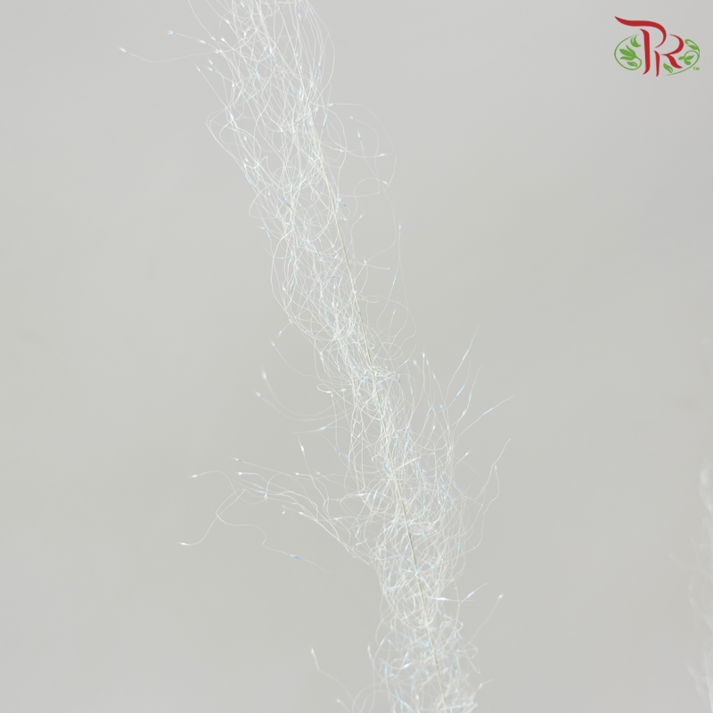 Dry Bleached Muhly Grass