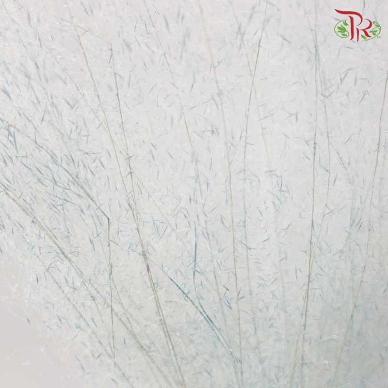 Dry Bleached Muhly Grass