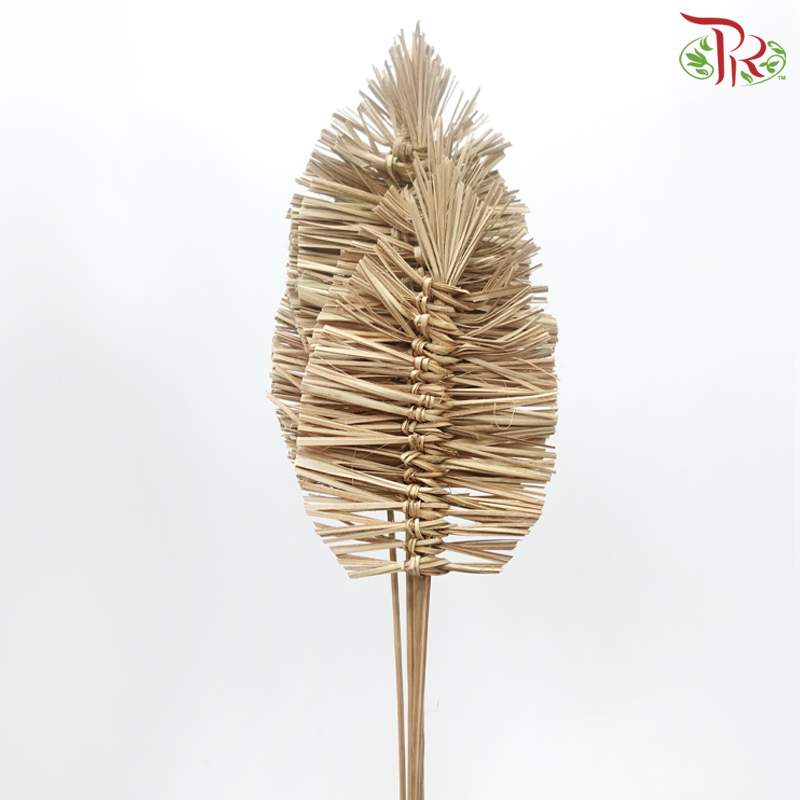 Dry Bamboo Boho Cana Leaf
