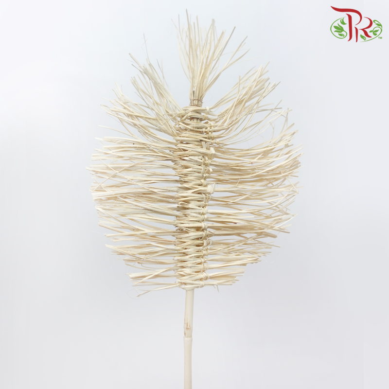 Dry Bamboo Boho Cana Leaf