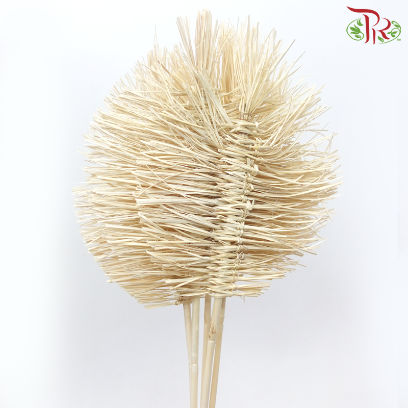 Dry Bamboo Boho Cana Leaf