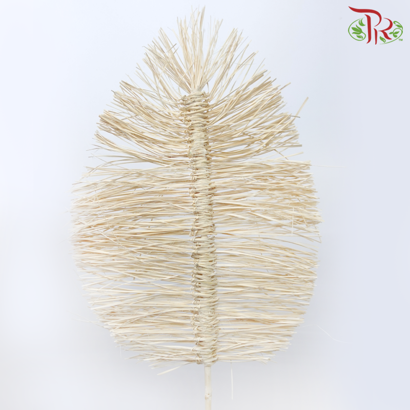 Dry Bamboo Boho Cana Leaf