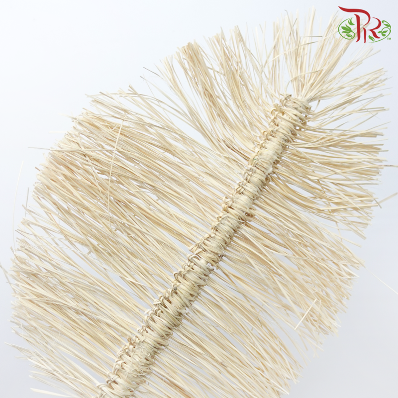 Dry Bamboo Boho Cana Leaf