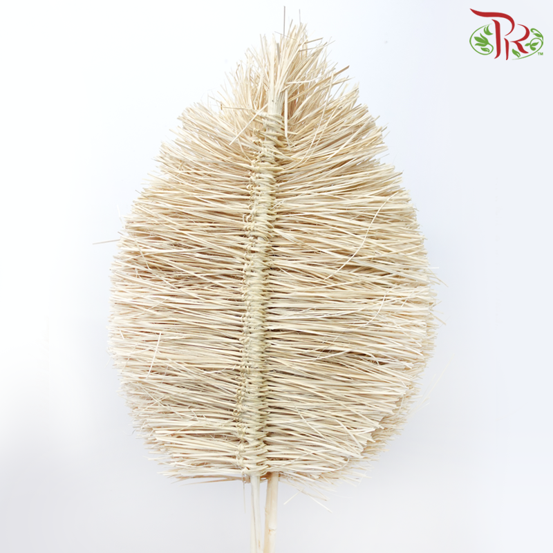 Dry Bamboo Boho Cana Leaf