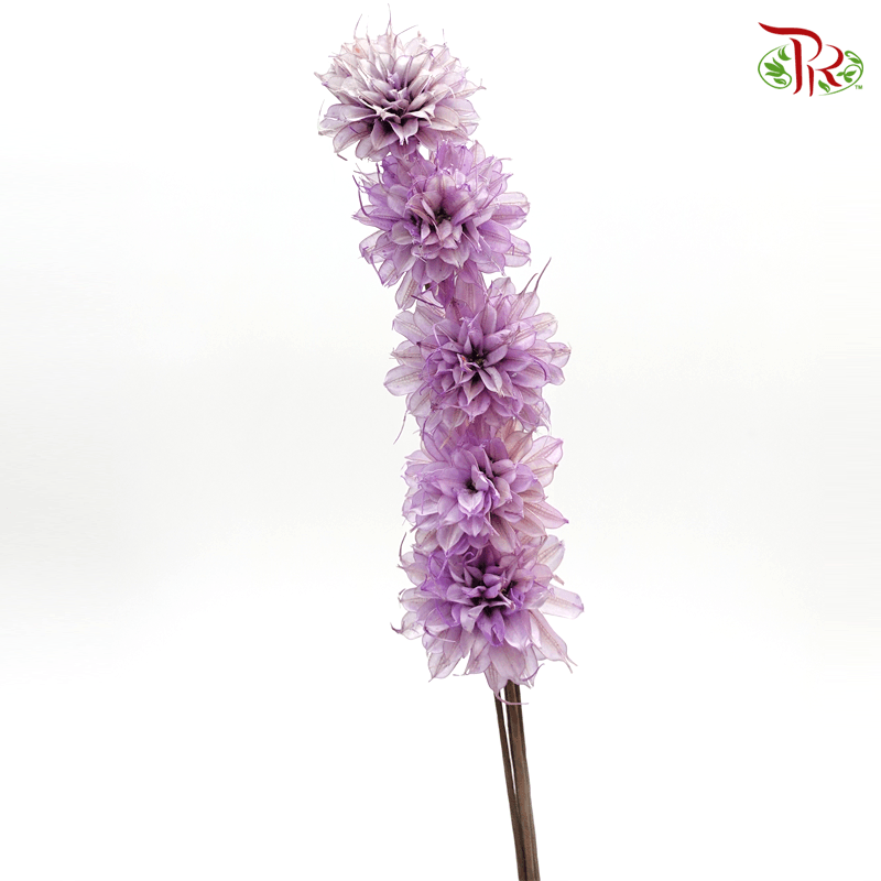 Dry Small Liju - Lilac (5 Stems) - Pudu Ria Florist