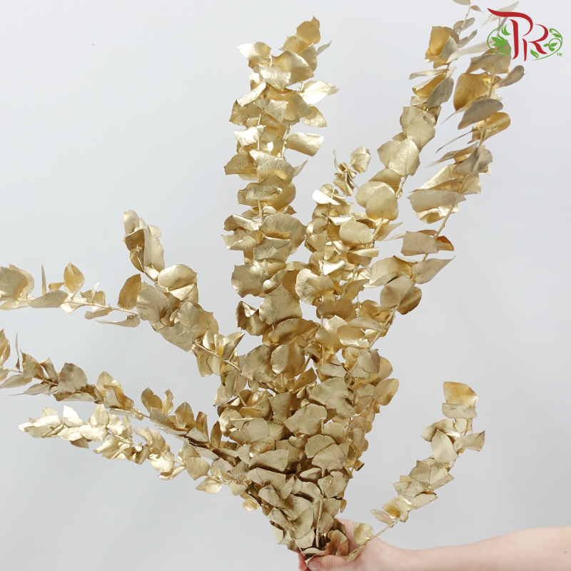 Preserved Eucalyptus Dyed Metal